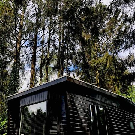 Heerlijk Chalet Midden In De Natuur Putten Buitenkant foto